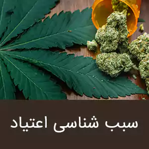 سبب شناسی اعتیاد